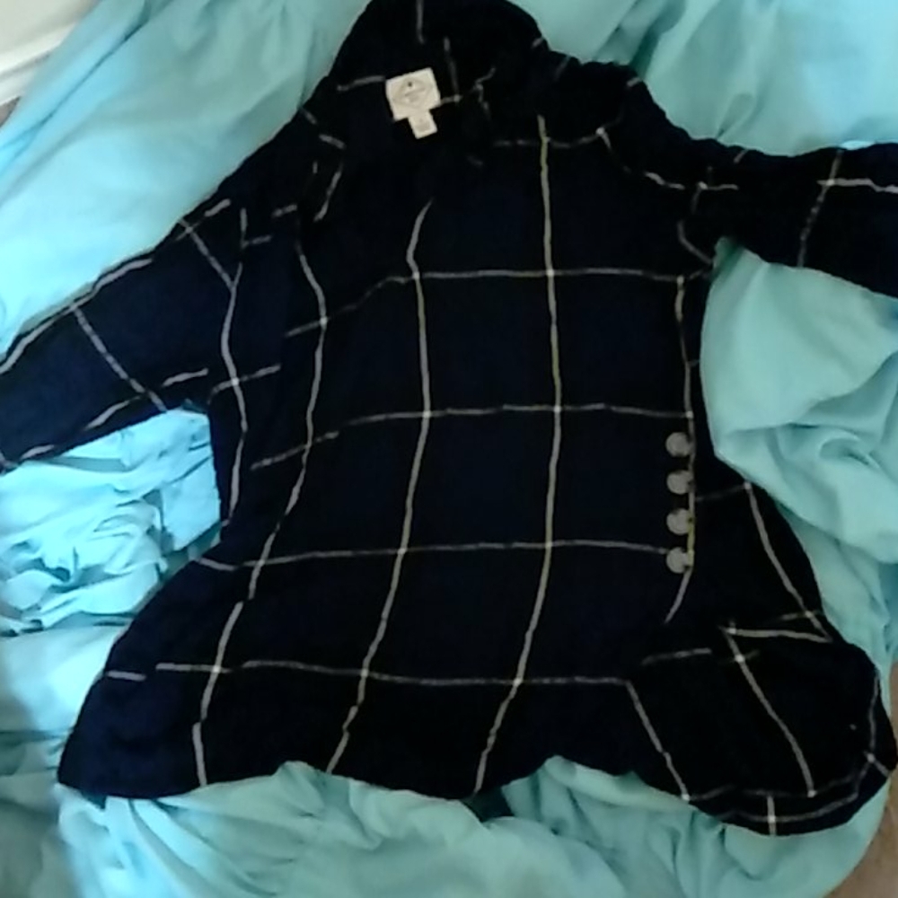 Blue and white striped flannel